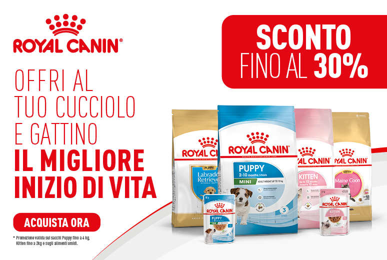 774 × 520 banner PROMO SOL – Recruitment Dry wet7